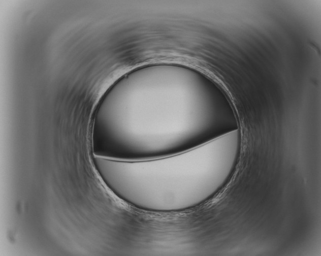 X0000102531533200808081041