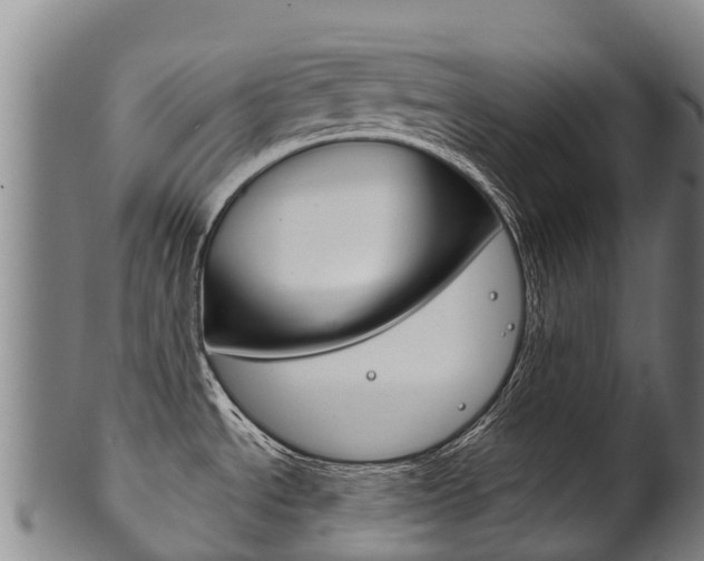 X0000102531534200808081041