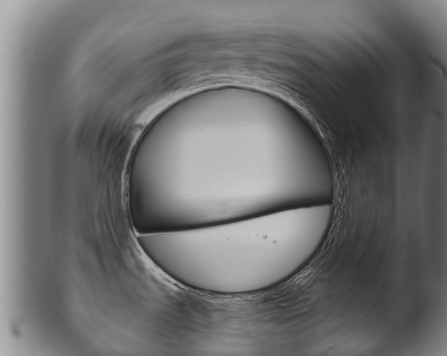 X0000102531535200808081041