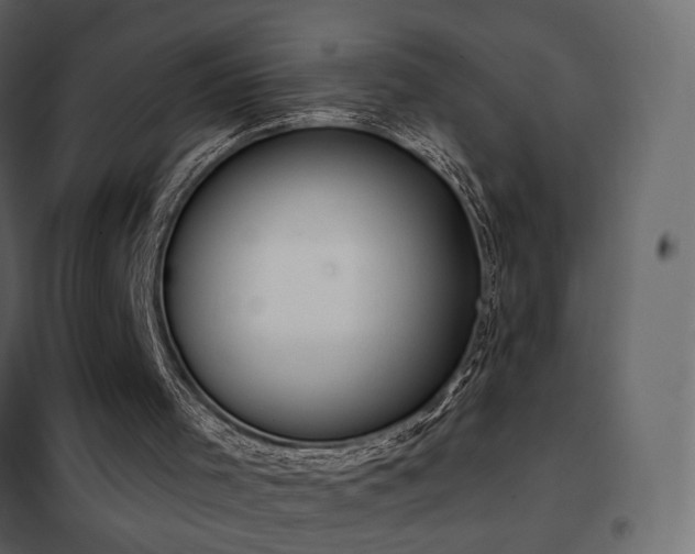 X0000102530001200808081503