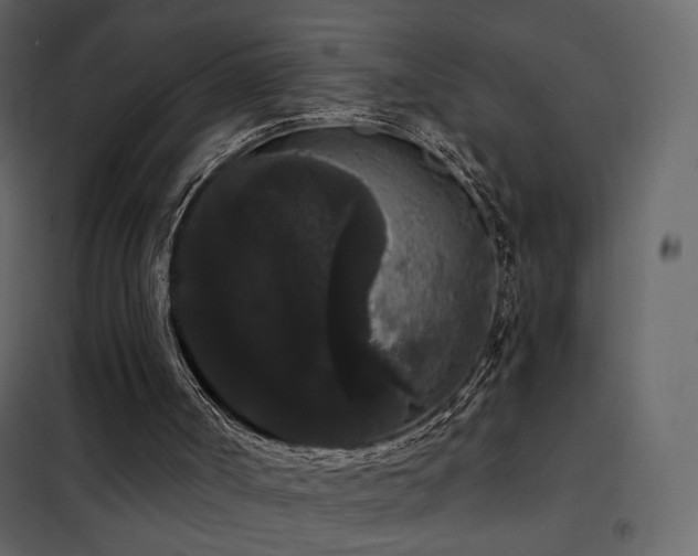 X0000102530002200808081503