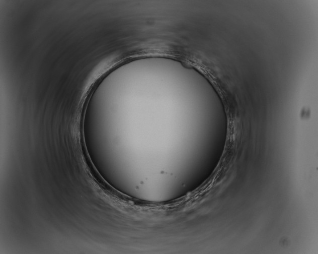 X0000102530004200808081503