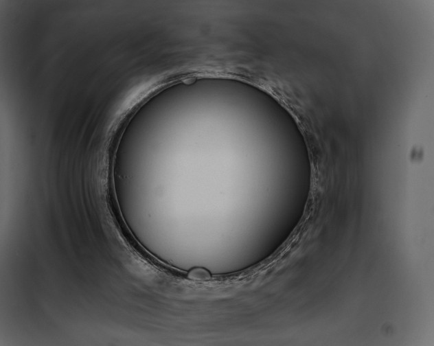 X0000102530005200808081503