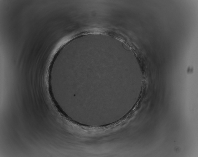 X0000102530006200808081503