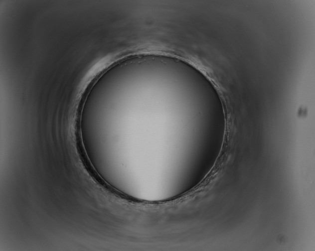 X0000102530007200808081503