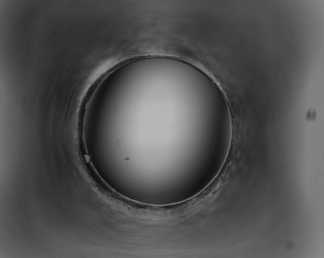 X0000102530008200808081503