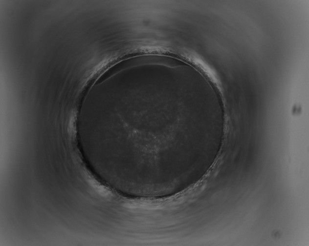 X0000102530009200808081503