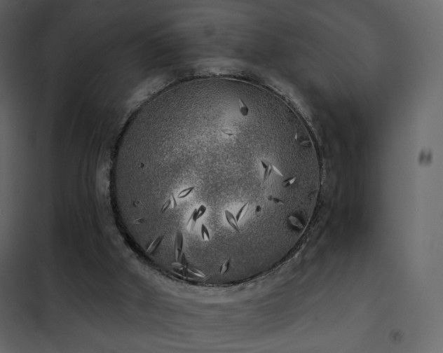 X0000102530010200808081503