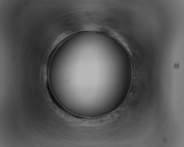 X0000102530011200808081503