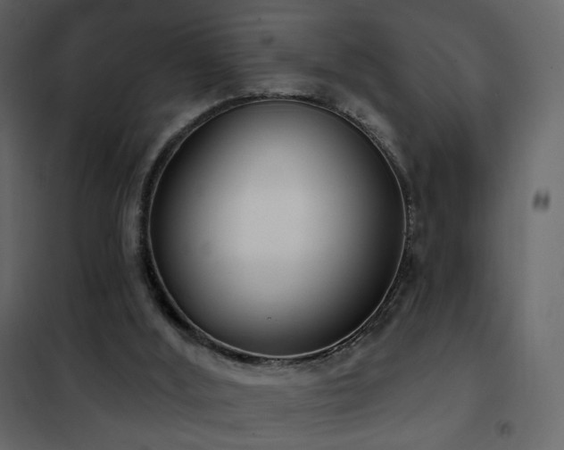 X0000102530012200808081503