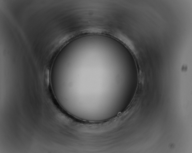 X0000102530013200808081503