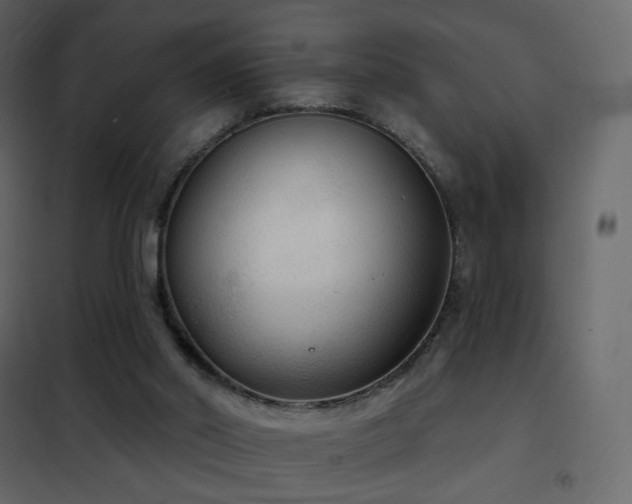 X0000102530014200808081503