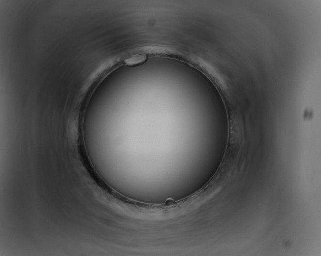 X0000102530015200808081502