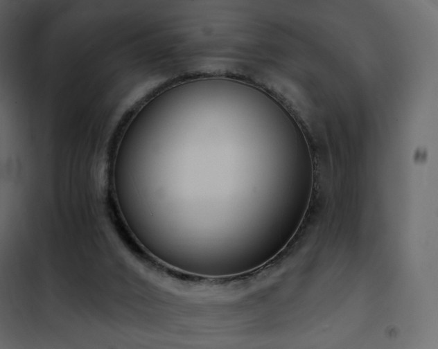 X0000102530016200808081502