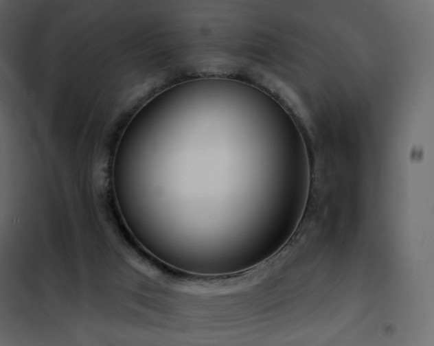 X0000102530017200808081502