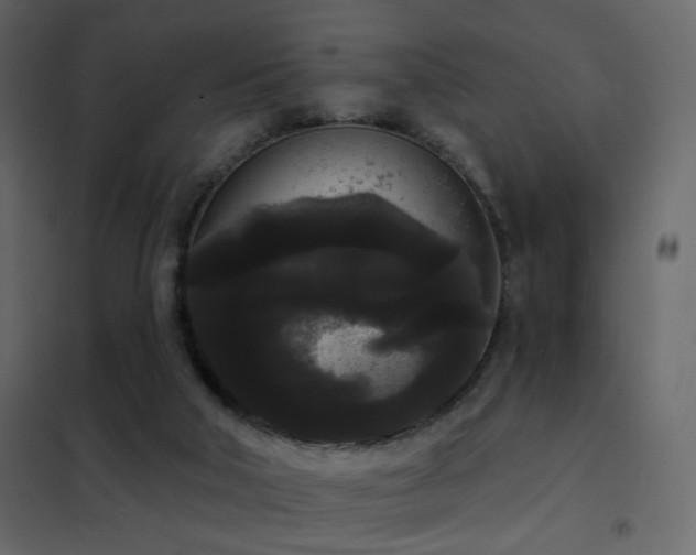 X0000102530018200808081502