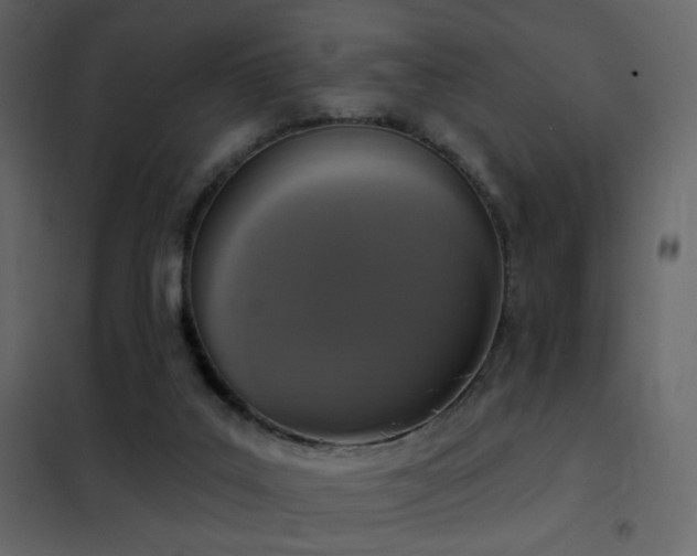 X0000102530019200808081502