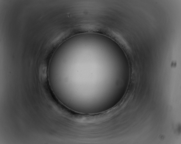 X0000102530021200808081502