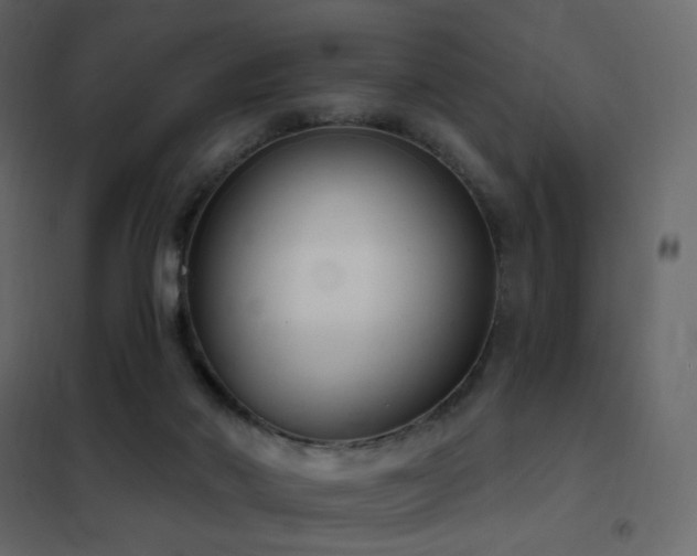 X0000102530022200808081502