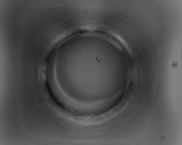 X0000102530023200808081502