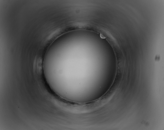 X0000102530024200808081502