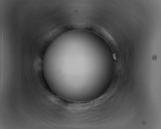 X0000102530025200808081502