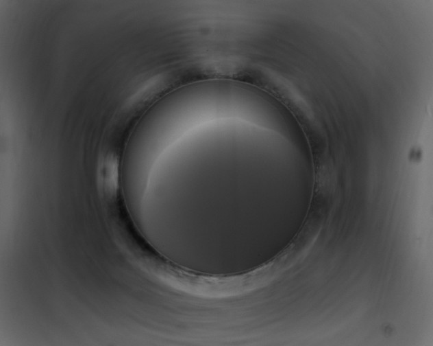 X0000102530027200808081502