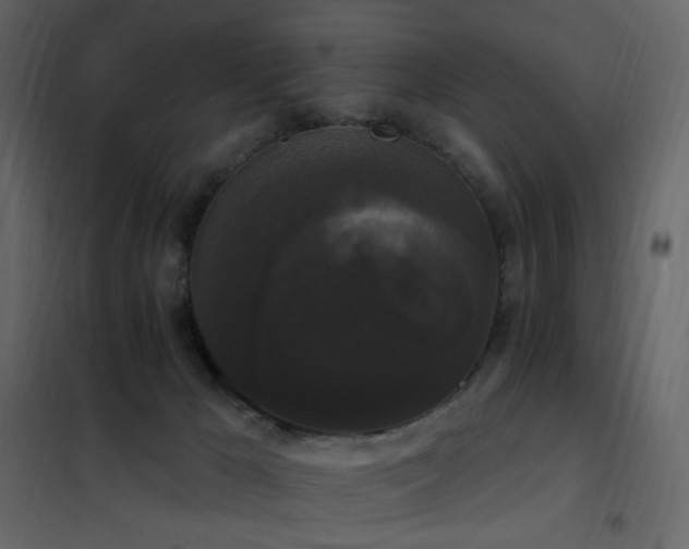 X0000102530029200808081502