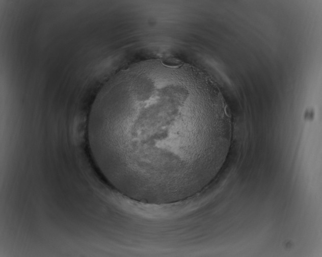 X0000102530030200808081502