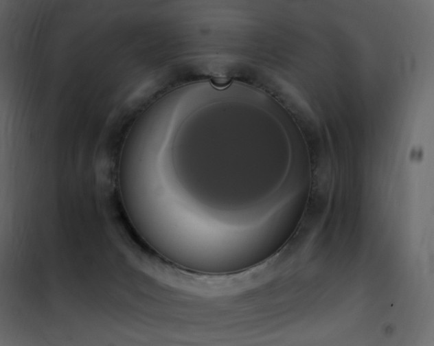 X0000102530031200808081502