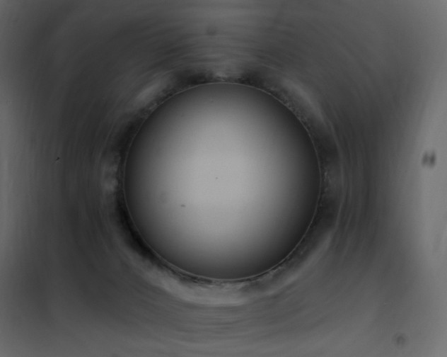 X0000102530032200808081502