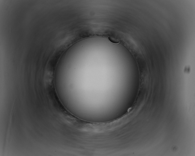 X0000102530033200808081502