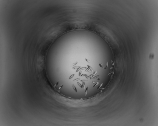 X0000102530034200808081502