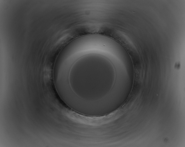 X0000102530035200808081502