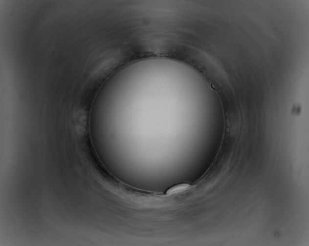 X0000102530036200808081502