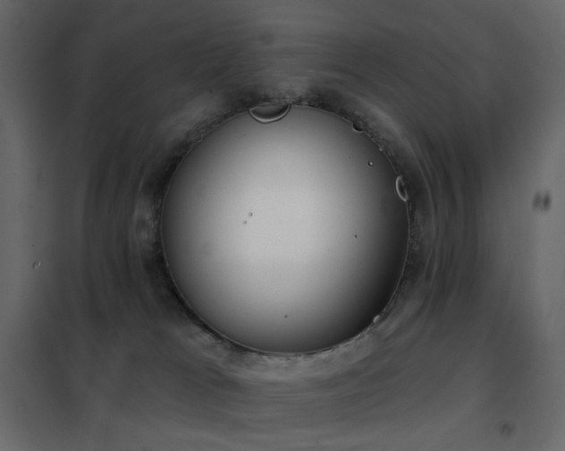X0000102530037200808081502