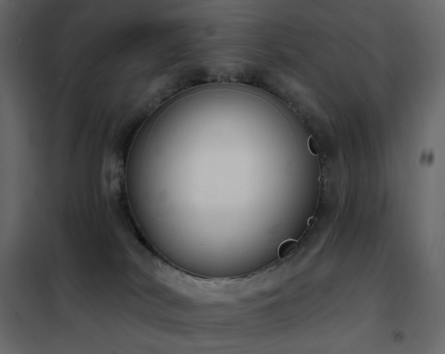 X0000102530038200808081502