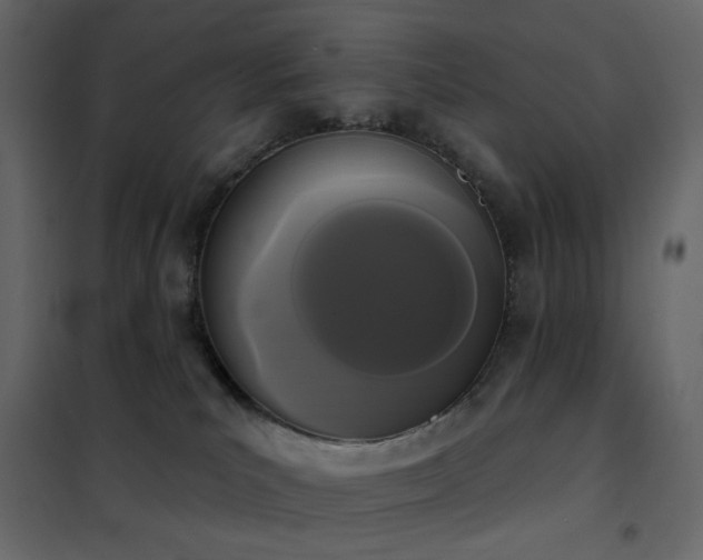 X0000102530039200808081502