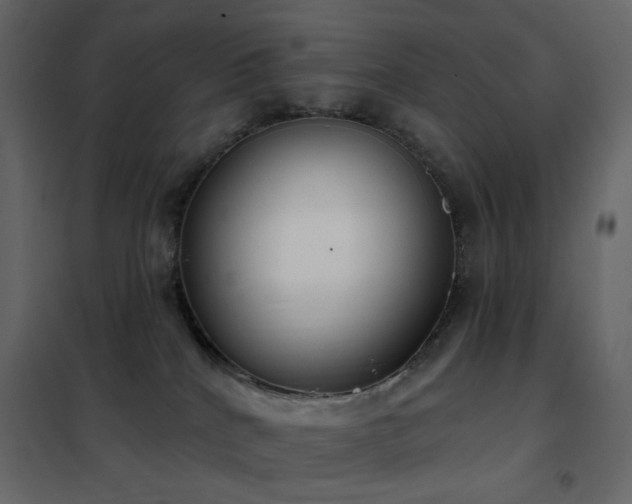 X0000102530040200808081502