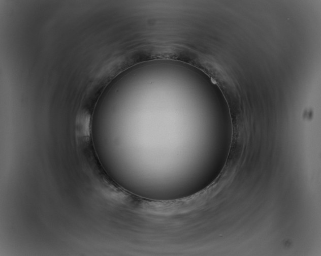 X0000102530041200808081502