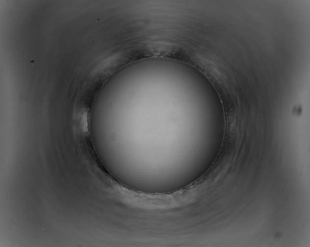 X0000102530042200808081502