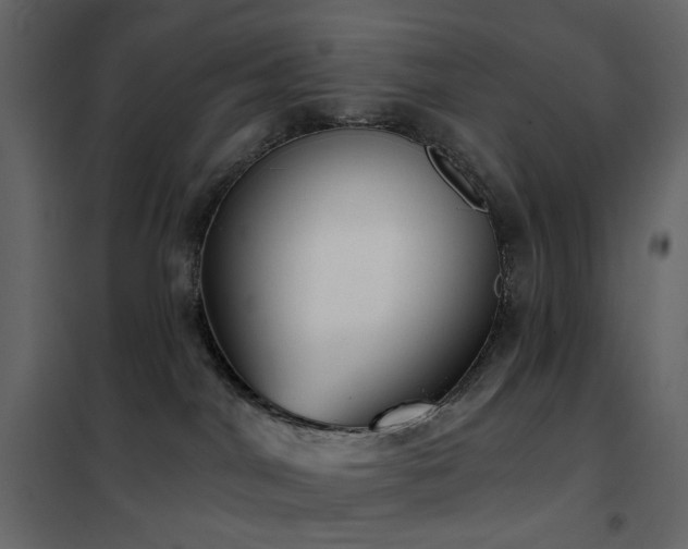 X0000102530044200808081502