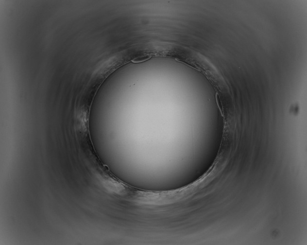 X0000102530045200808081502