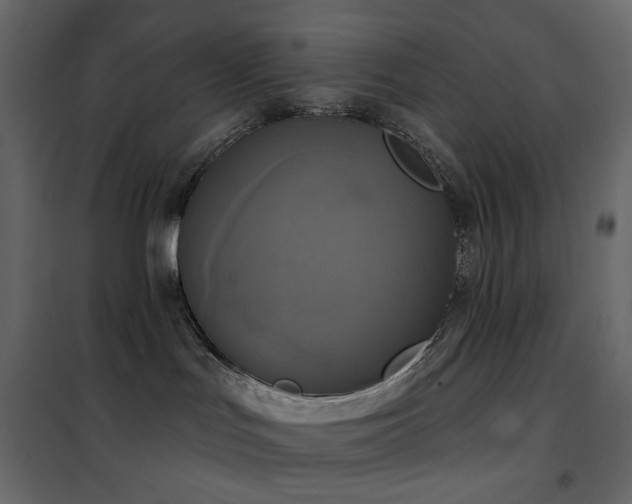 X0000102530047200808081502