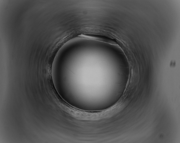 X0000102530048200808081502