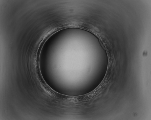 X0000102530050200808081501
