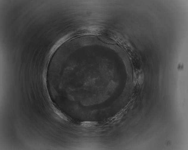 X0000102530051200808081501