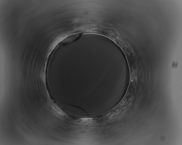 X0000102530052200808081501
