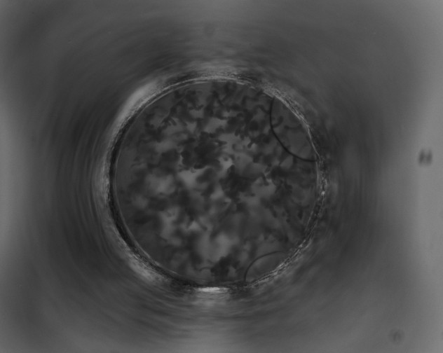 X0000102530053200808081501