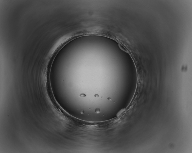 X0000102530054200808081501